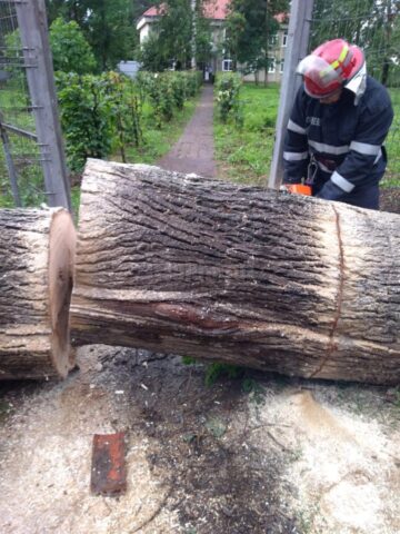 Interventia pompierilor din municipiul Radauti