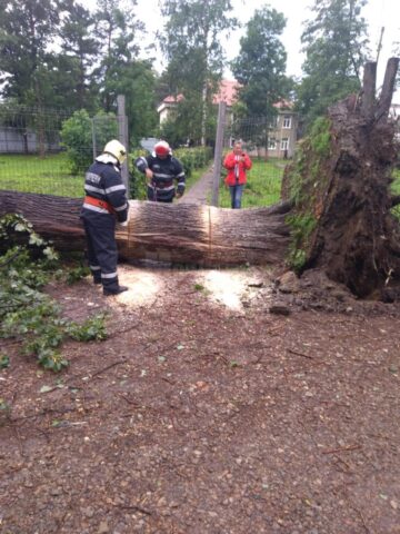 Interventia pompierilor din municipiul Radauti