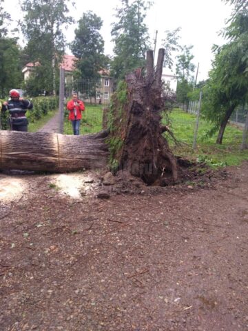 Interventia pompierilor din municipiul Radauti