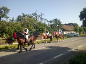 „Festivalul Ștefanian”, în plină desfășurare, la Mănăstirea Putna