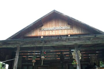 Tabăra de artă plastică de la Poiana Dacilor – Păltinoasa va purta numele lui Tiberiu Cosovan