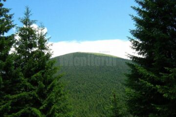 Competiția de alergare montană "Hit the Egg" va avea loc pa vârful Oușoru