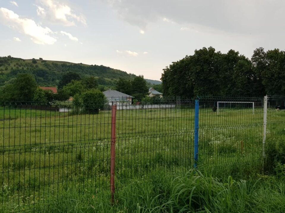 Terenul de sport din Pleșești a ajuns un soi de minijunglă, cu vegetație crescută excesiv și unde animalele pasc în voie