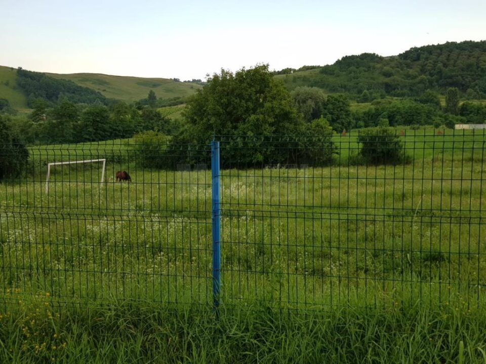 Terenul de sport din Pleșești a ajuns un soi de minijunglă, cu vegetație crescută excesiv și unde animalele pasc în voie