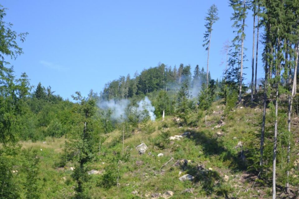 Exercițiu ISU pentru intervenția în cazul unui incendiu forestier