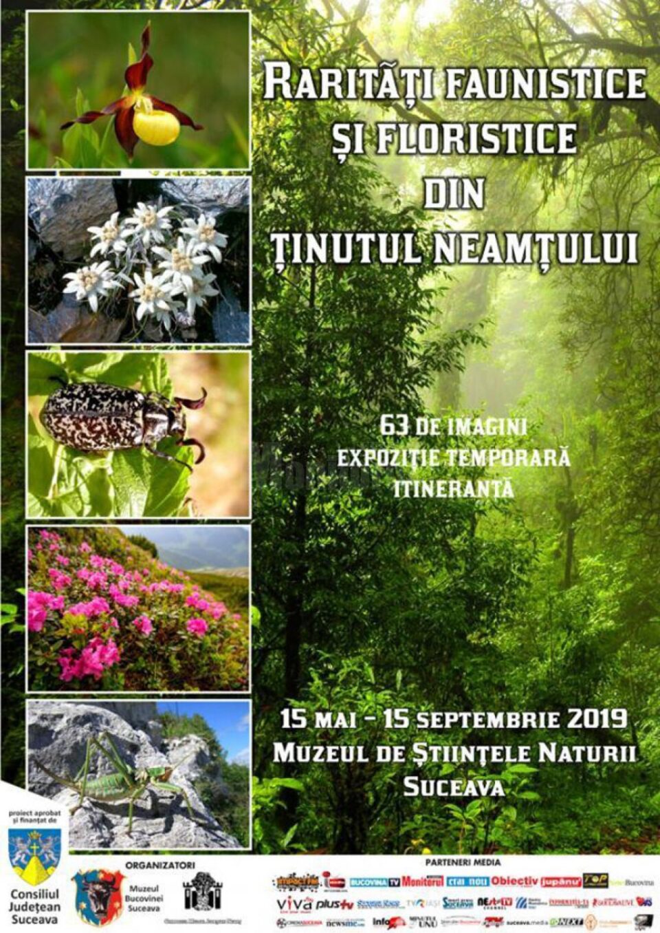 Unde fugim de-acasă...