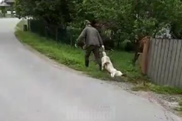 Câinele, târât după ce a fost împușcat