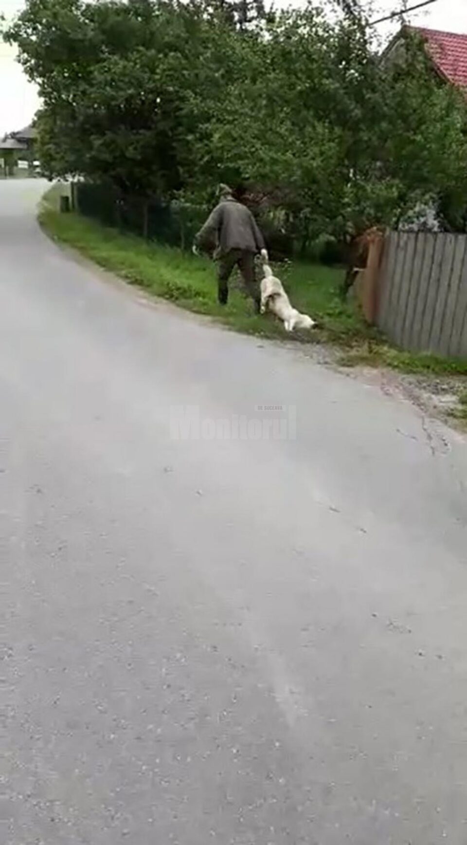 Câinele, târât după ce a fost împușcat