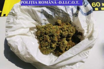 Captură de canabis