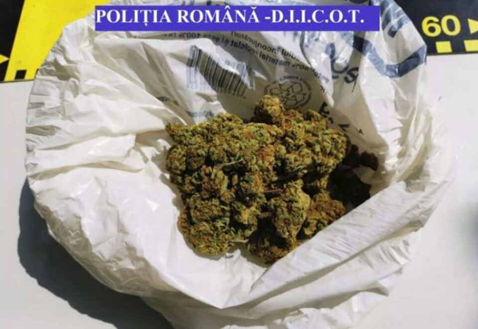 Captură de canabis