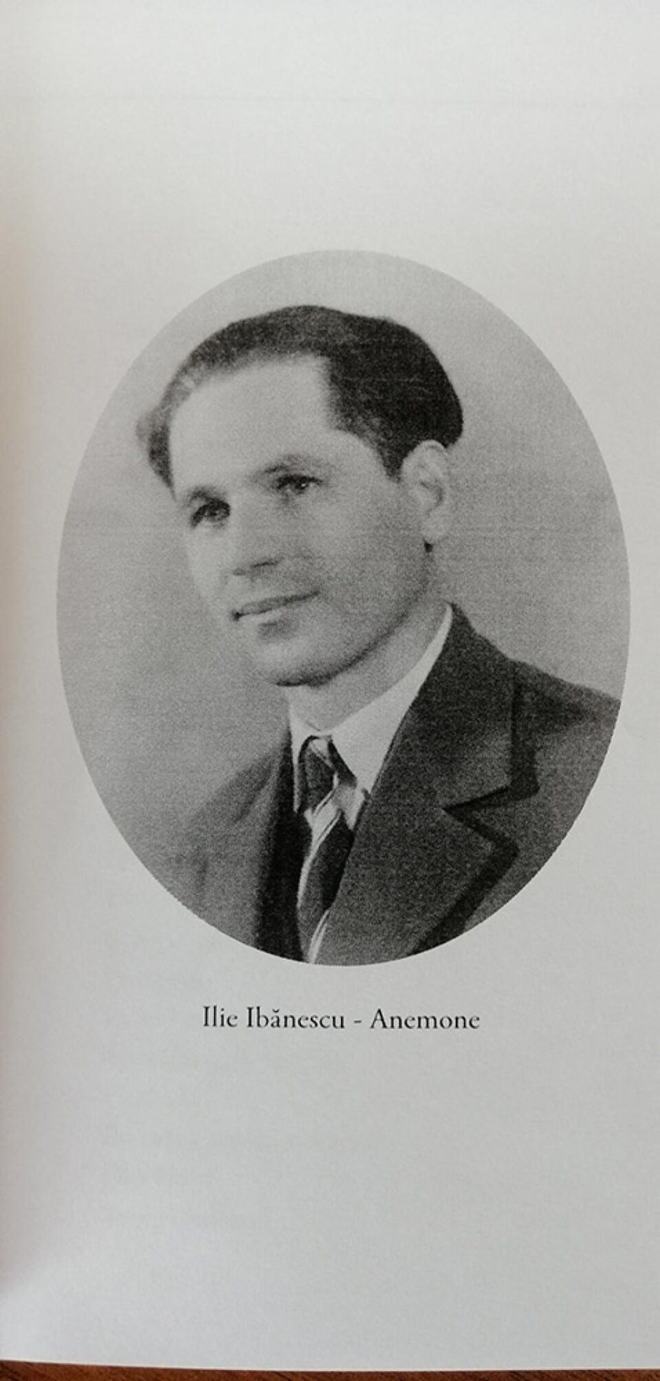 Ilie Ibănescu - Anemone