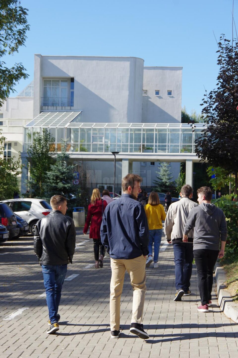 Universitatea din Suceava