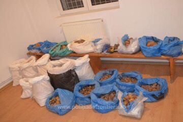 Chihlimbar de 100.000 de lei, descoperit de polițiștii de frontieră la Brodina