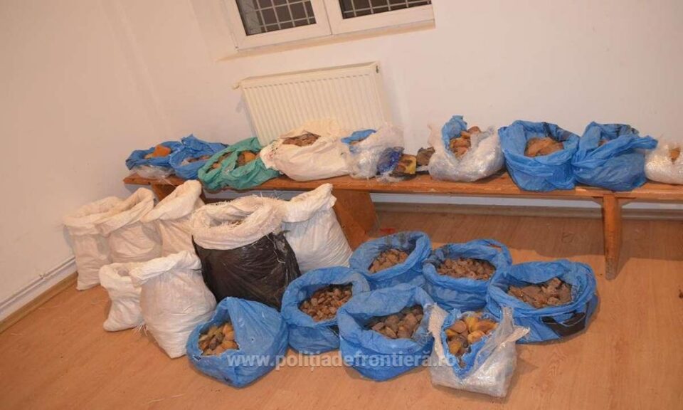 Chihlimbar de 100.000 de lei, descoperit de polițiștii de frontieră la Brodina