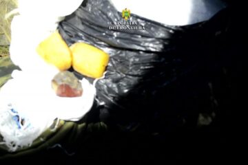 Transport de 100 de kg de chihlimbar, interceptat pe frontieră la Ulma. Polițiștii au reușit să prindă o femeie din grupul de cărăuși