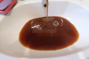 La robinetele gospodăriilor din Dolhasca racordate la rețeaua de apă curge fie apă cu fier și mangan, fie apă sărată