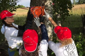 Pregătirea tronsonului Bucovina din Via Transilvanica Foto: ViaTransilvanica FB