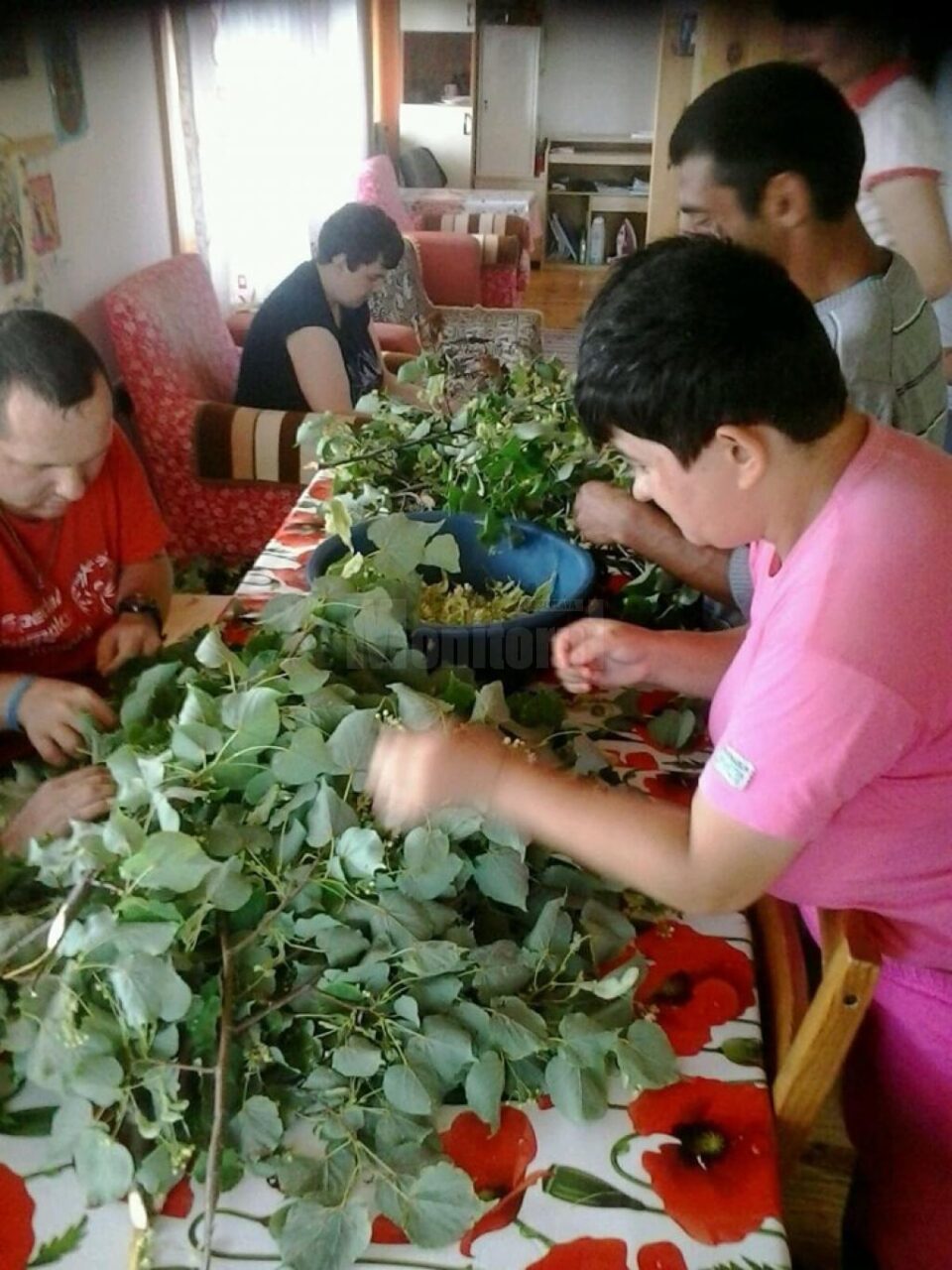 „Ceainăria de acasă”, nou proiect social derulat de FARA la Casa Elisabeta pentru tineri cu dizabilități din Cacica