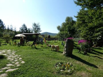„Lingura boierului”, „lada bucovineană” și tablouri fantastice, create în Poiana Dacilor, la cea de-a 15-a ediție a taberei meșterilor populari și pictorilor naivi