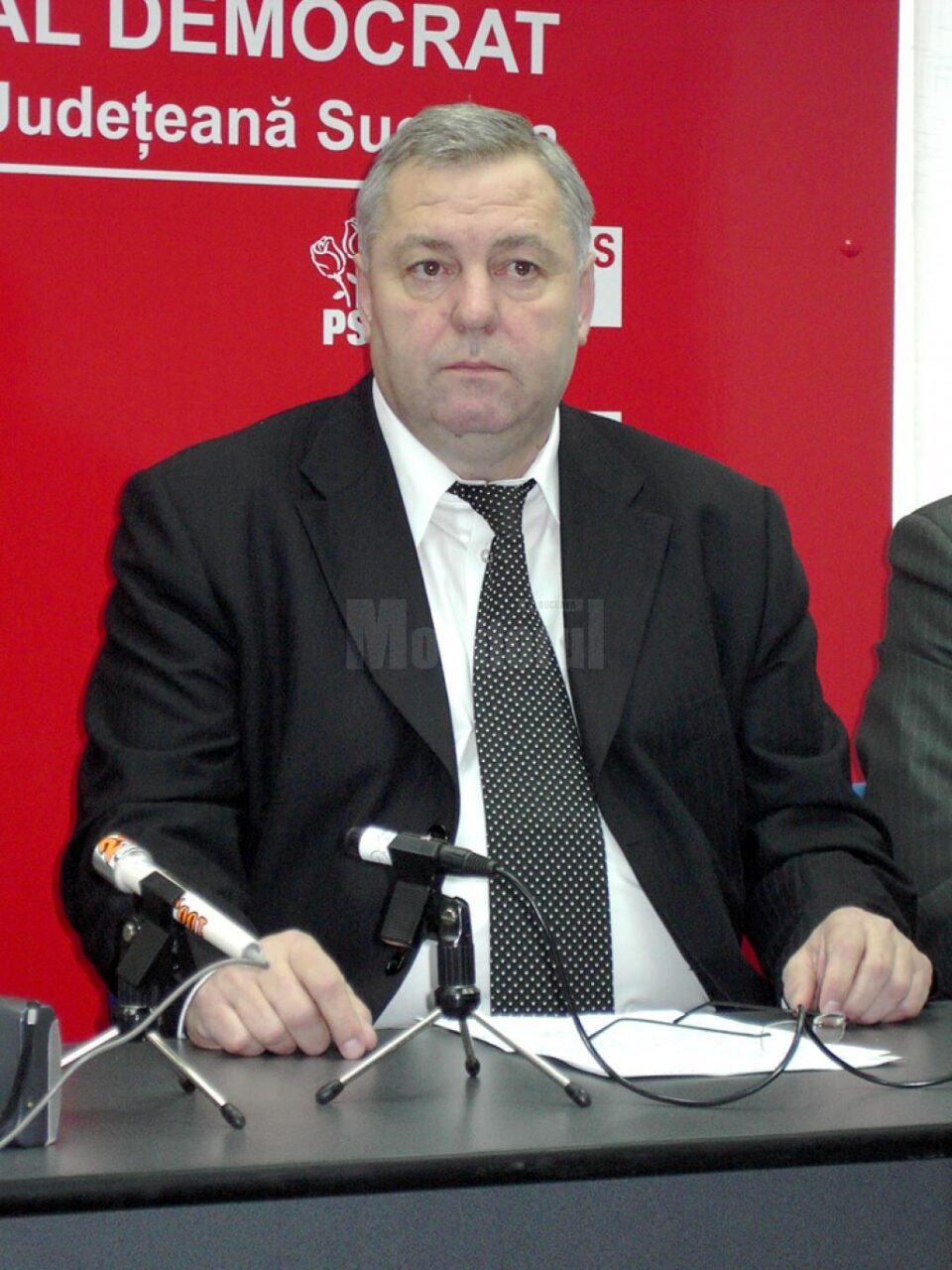 Președintele Organizației Județene Suceava a PSD, senatorul Ioan Stan