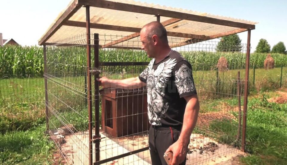 Atacul s-ar fi produs în momentul în care câinele a fost scos din țarc, probabil pentru a fi plimbat