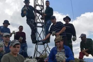 Cu buchete mari de flori-de-colț în mâini, mândri de isprava lor