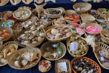 Expo Mineralia la Iulius Mall Suceava