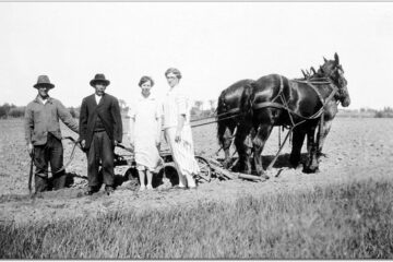 „Îndrumări de toamnă”