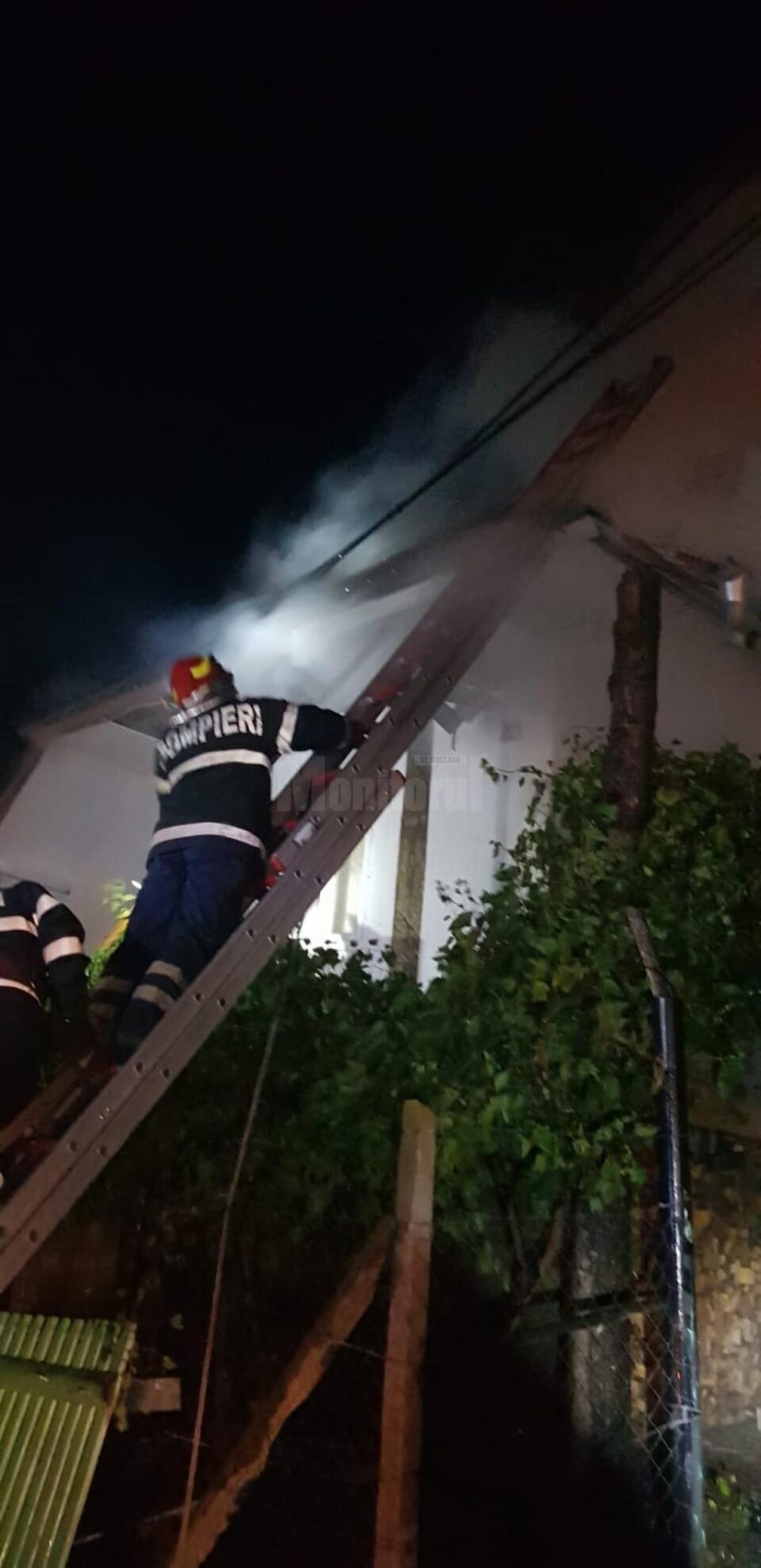 Pompierii au încercat să limiteze pagubele