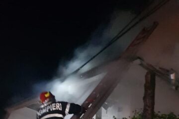 Pompierii au încercat să limiteze pagubele