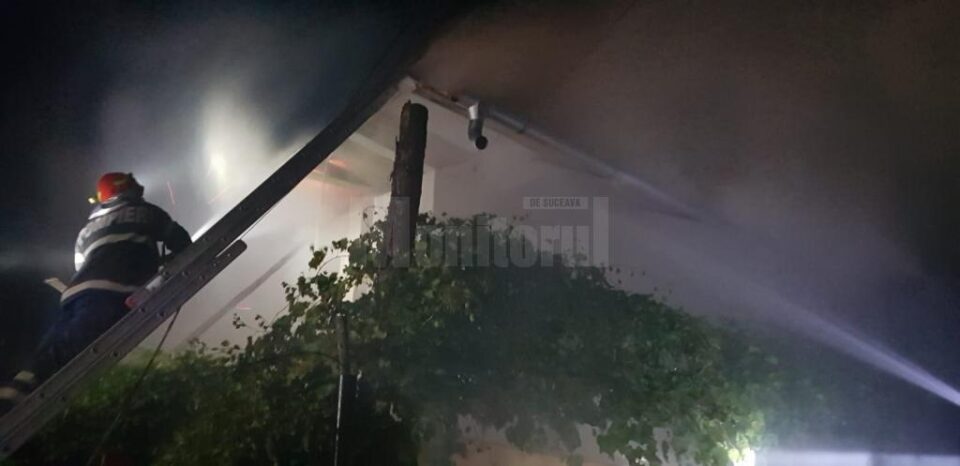 Pompierii au încercat să limiteze pagubele