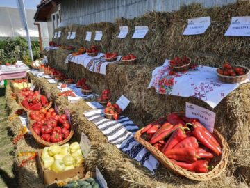 Legumicultorul Vasile Mătrășoaie, premiat de una dintre cele mai mari companii de semințe din lume