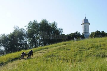 Urcând în genunchi colina la Hagigadar