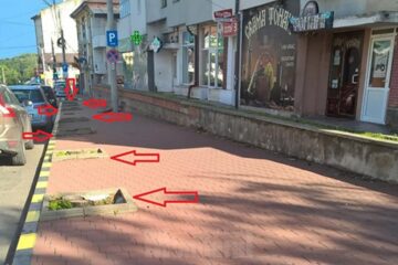 Cușnir a amintit că pe str. Petru Rareș au fost tăiați mai mulți copaci pentru amenajarea de locuri de parcare