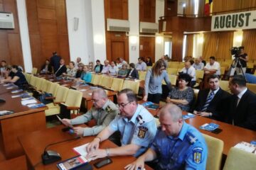 Doar doi suceveni din diaspora au fost la informarea privind votul in strainatate