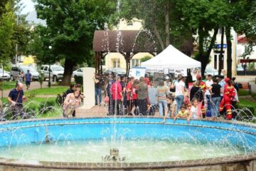 Voluntar pentru Rădăuți, ediția a III-a