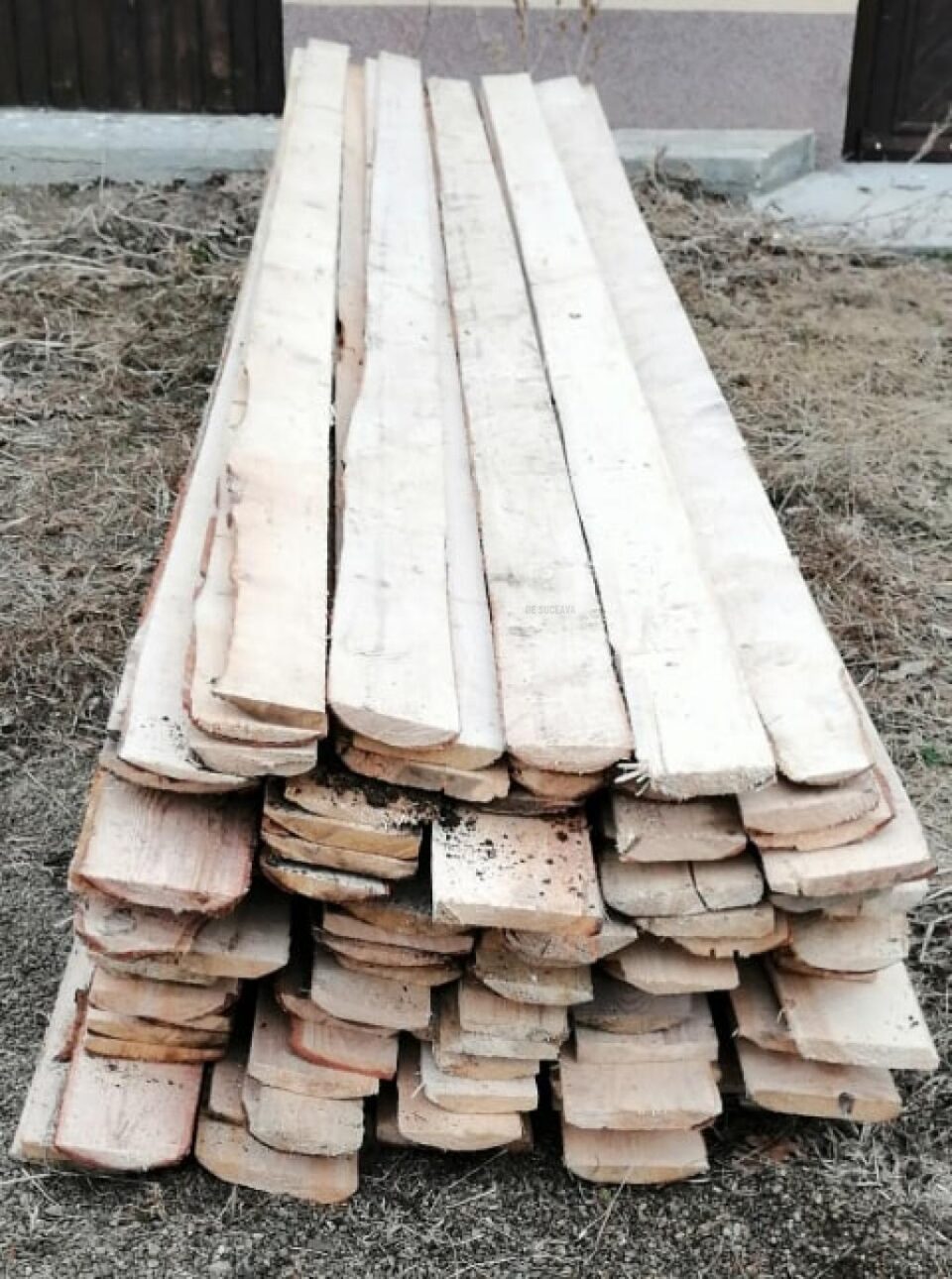 Acțiune desfășurată de polițiști pentru combaterea delictelor silvice