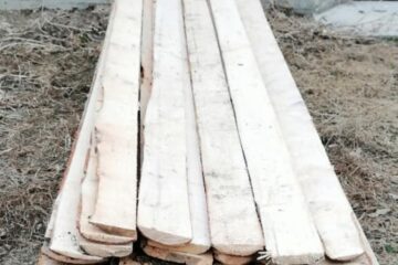 Acțiune desfășurată de polițiști pentru combaterea delictelor silvice