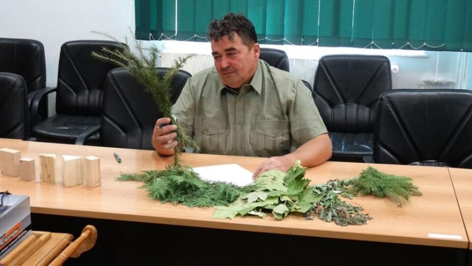Testarea cunoștințele teoretice și practice ale participanților la concursul Cel mai bun pădurar