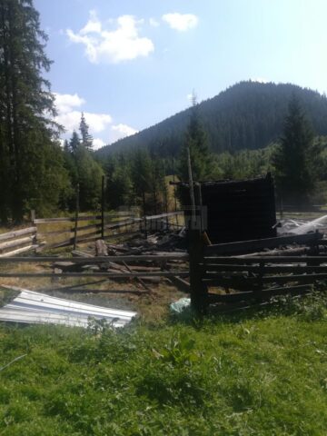 Coliba construită din lemn și anexele din jur, construite tot din material lemnos, au ars ca niște torțe