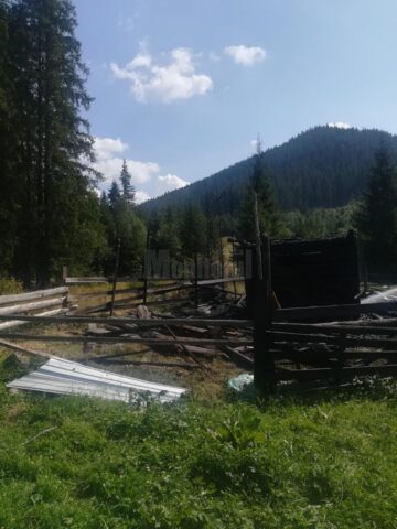 Coliba construită din lemn și anexele din jur, construite tot din material lemnos, au ars ca niște torțe