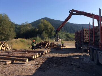 Un grup de jurnaliști suceveni a vizitat firma Holzindustrie Schweighofer