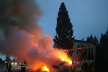 Autotrenul a fost cuprins de flecari, la marginea drumului DN 17, în Poiana Stampei