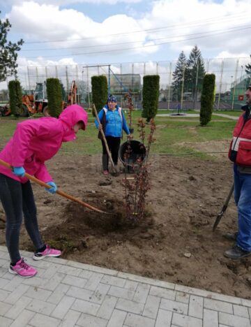 Elevii și profesorii Liceul Tehnologic Special Bivolărie au dat o nouă „față” parcului instituției