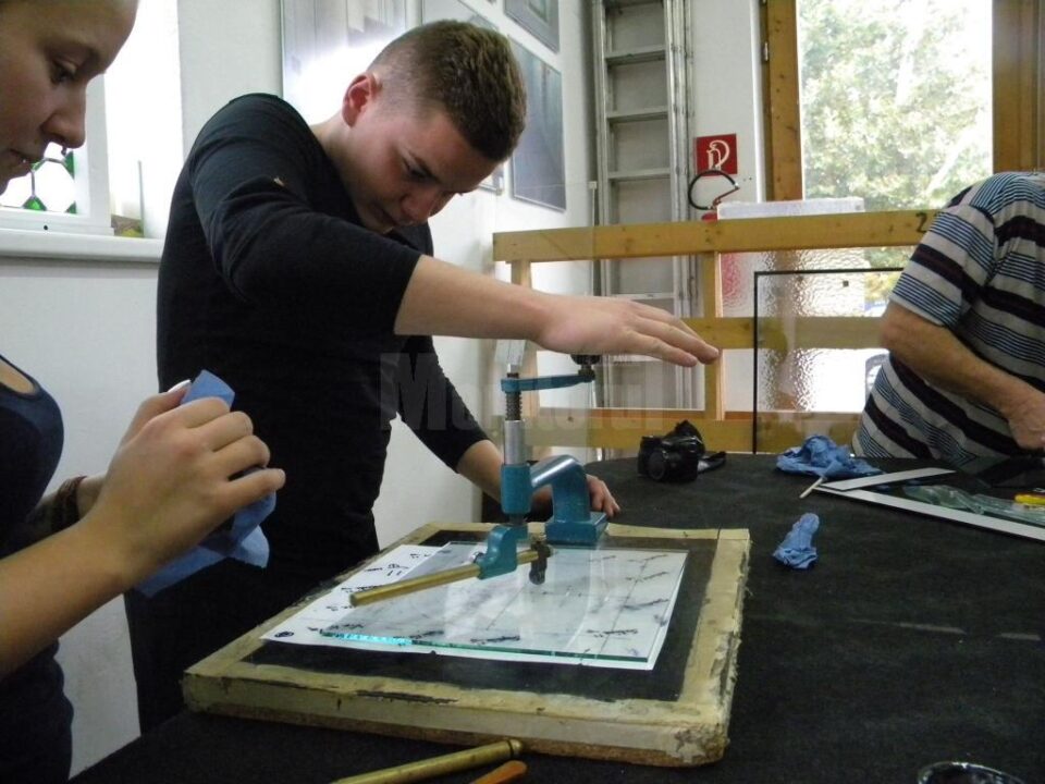 Model inovativ de ucenicie și angajare a tinerilor cu dizabilități, tineri care au abandonat școala, romi sau migranți, în județul Suceava