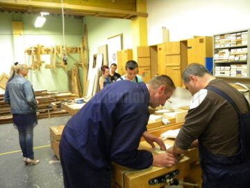 Model inovativ de ucenicie și angajare a tinerilor cu dizabilități, tineri care au abandonat școala, romi sau migranți, în județul Suceava