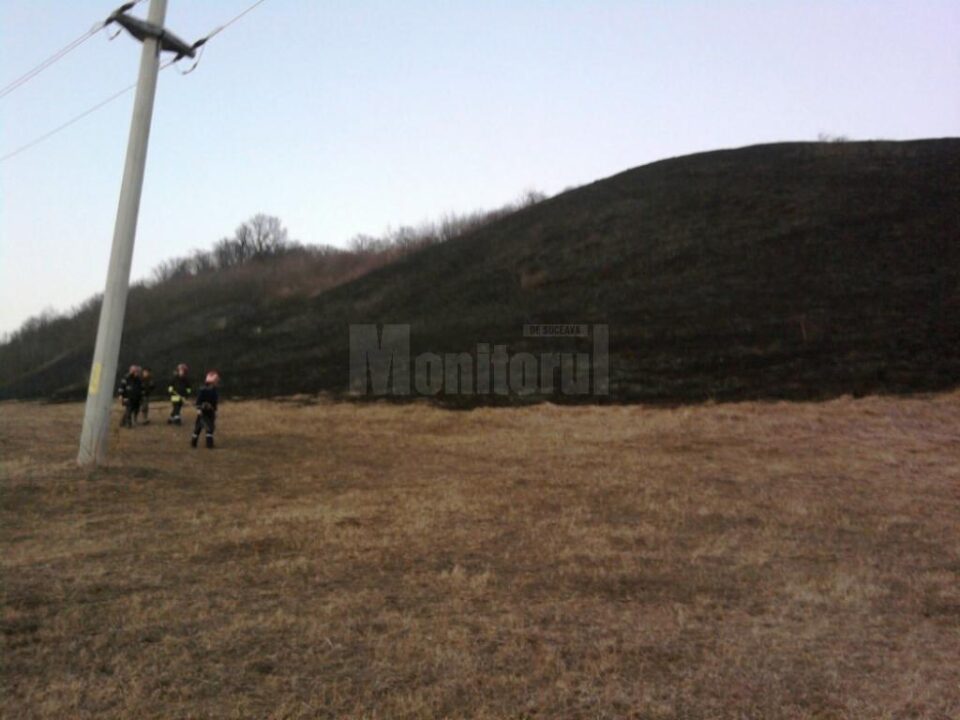 Incendiu de vegetație uscată