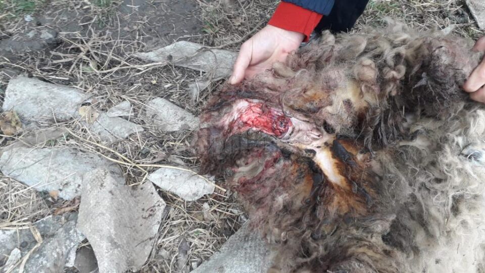 Atacurile au fost foarte violente