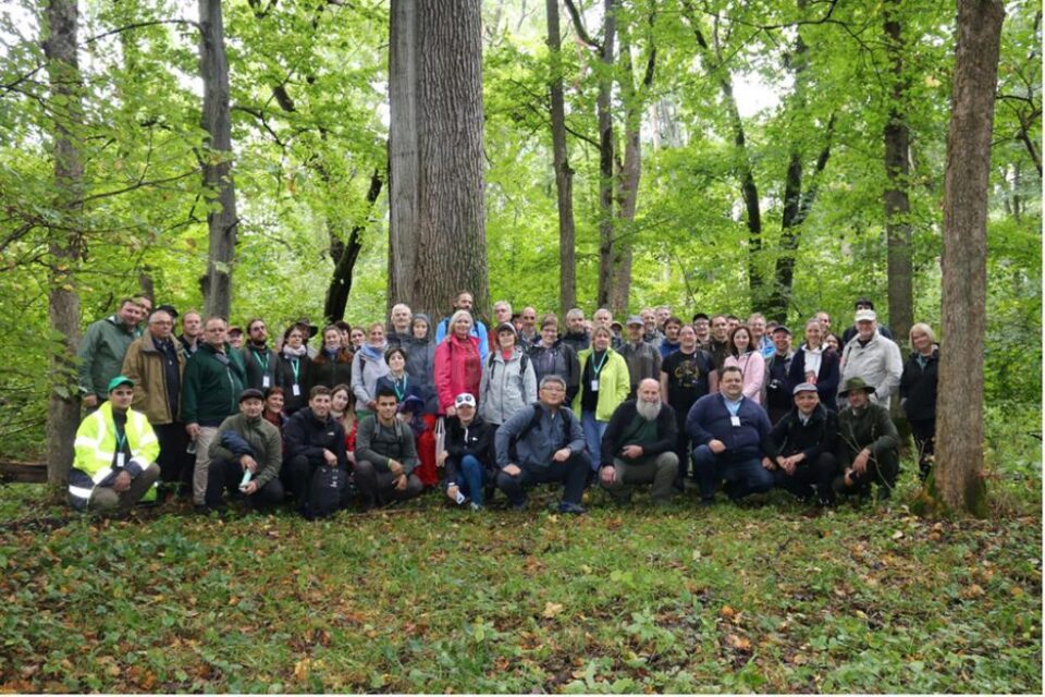 Cercetători din domeniul protecției pădurilor din 19 țări, în conferință la Suceava