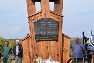 Troiță în amintirea ostașilor Regimentului 2 Grăniceri și Regimentului 16 Dorobanți